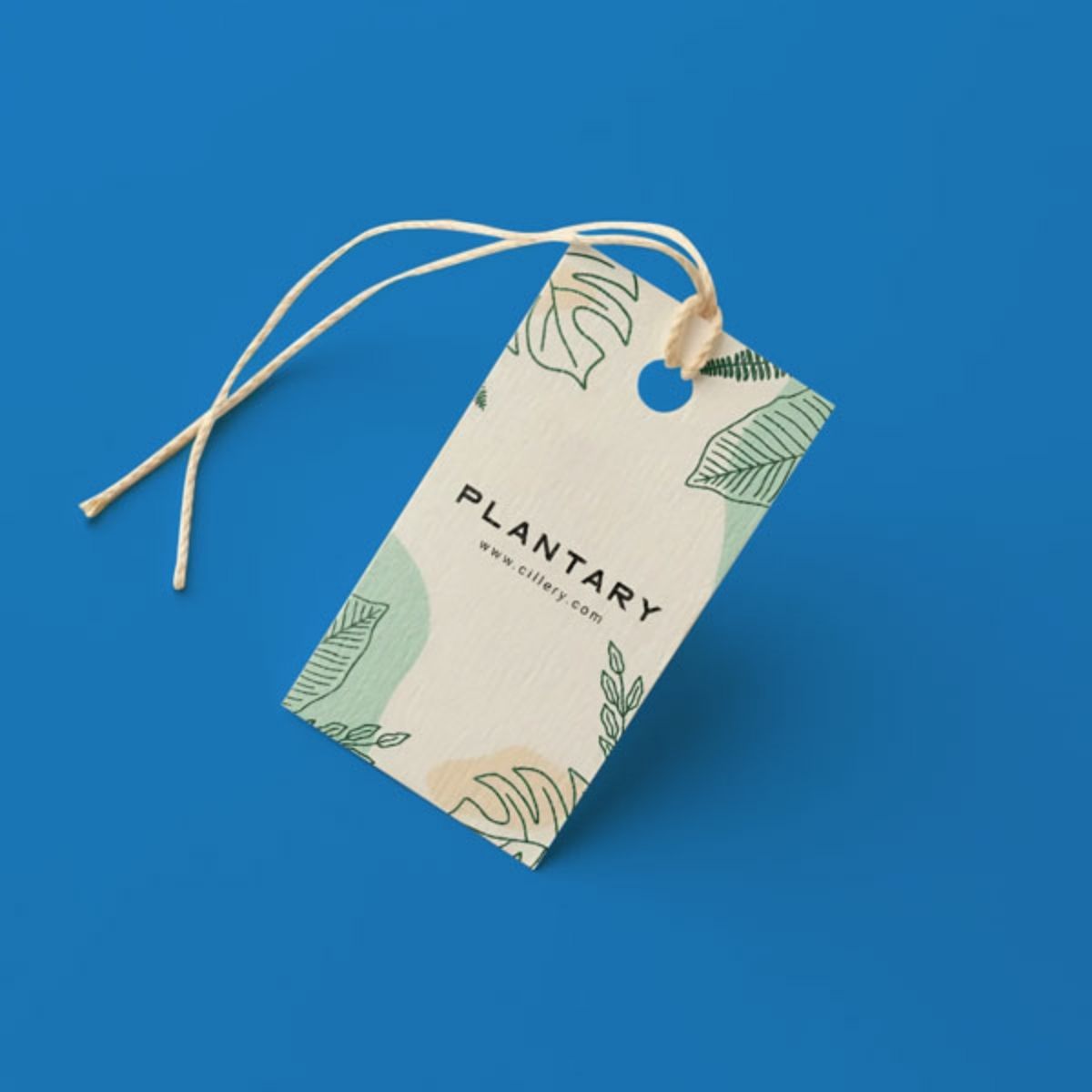 Exploring the Value and Importance of Limited Edition Tags