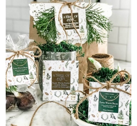 Plant Pot Tags
